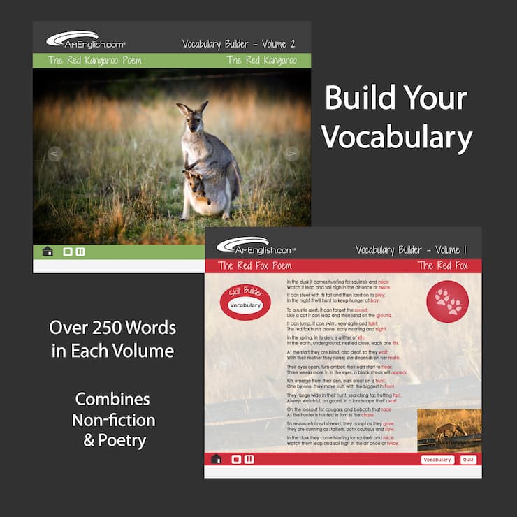 Vocabulary Builder