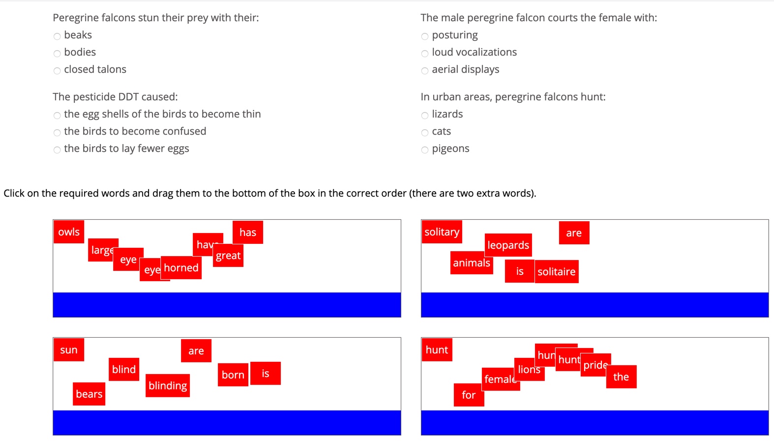 Vocabulary Builder