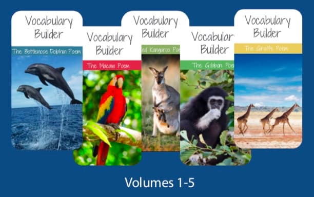 vocabulary builder training
