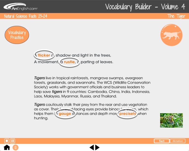 Vocabulary Builder: Animal Tales fact pages